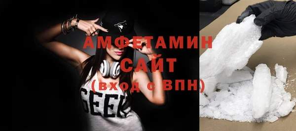 гидра Бородино