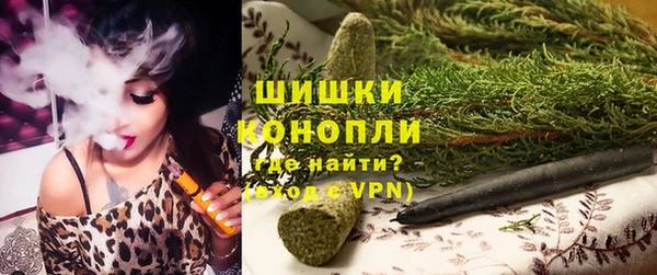 гидра Бородино