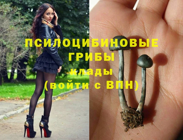 гидра Бородино