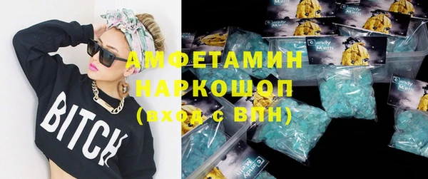 гидра Бородино