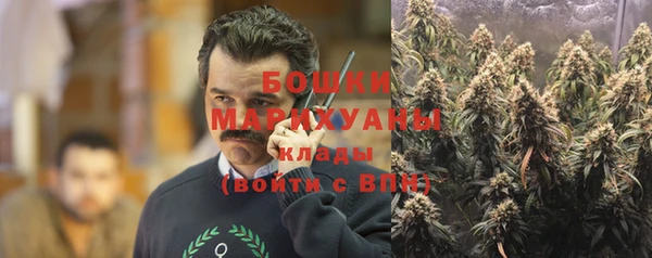 гидра Бородино