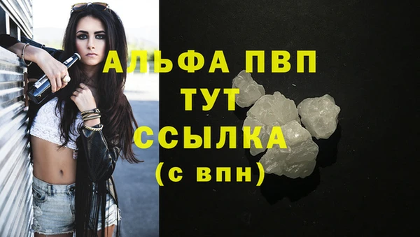 гидра Бородино