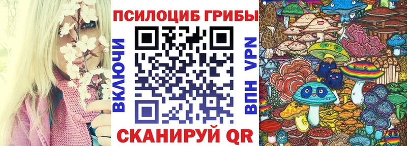 Галлюциногенные грибы MAGIC MUSHROOMS  купить наркоту  Новоржев 