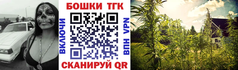 MEGA tor закладка Новоржев Бошки марихуана Amnesia